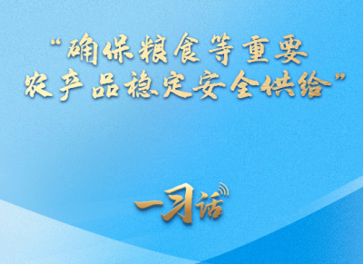 一习话丨“确保粮食等重要农产品稳定安全供给”