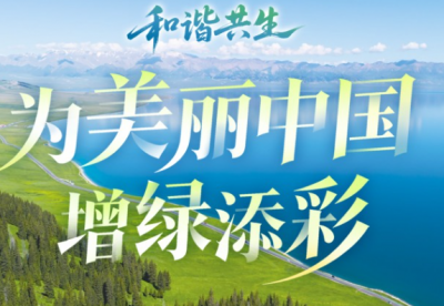 和谐共生｜为美丽中国增绿添彩