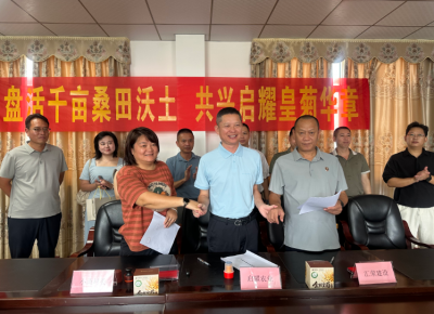 政企村共绘乡村振兴新图景！梅县区水车镇小桑村千亩金丝皇菊项目成功签约