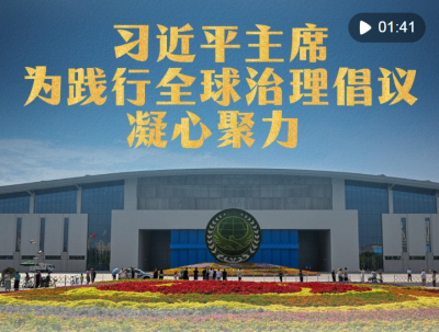 习近平主席为践行全球治理倡议凝心聚力