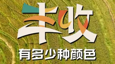 一起数数丰收有多少种颜色