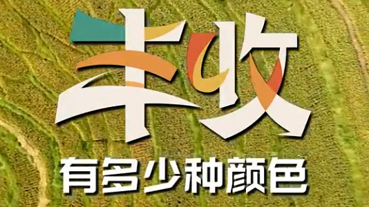 一起数数丰收有多少种颜色