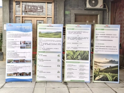 人保财险梅州市分公司承办2026年梅州市茶叶职业技能竞赛