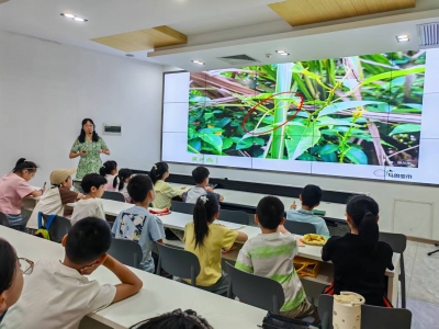 为鸟儿安“家”  与大自然做朋友！“美丽梅州 绿色同行”生态研学活动走进芹洋湿地公园