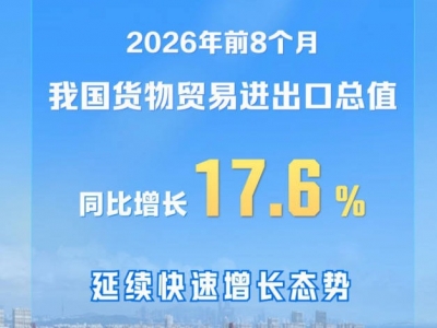 延续快速增长态势！前8个月我国外贸增长17.6%
