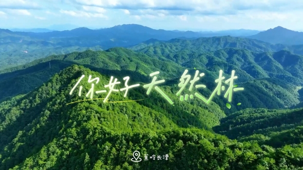 周六上午十时，主播带你探秘桫椤谷！
第二届“你好·天然林”森林直播节沉浸式打卡蕉岭长潭自然保护区！
请锁定@梅州日报 直播间