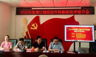 农技传真经 培训促振兴！2026年大埔县银江镇经济作物栽培技术培训会举办