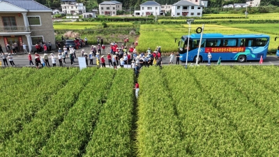 平远县“社村”合作水稻制种现场观摩会暨工作推进会召开