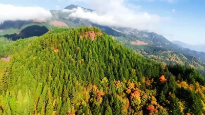 广东森林防火有妙招！“五清”“五进”筑牢绿美防线