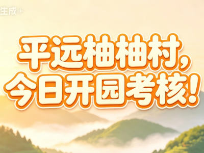 平远柚柚村开园考核啦！甜度拉满，“柚”你才圆满！