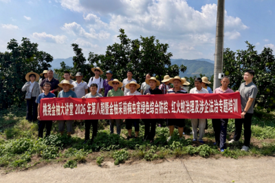 采前管护“再充电”，护航金柚丰收季！梅县桃尧金柚大讲堂开讲