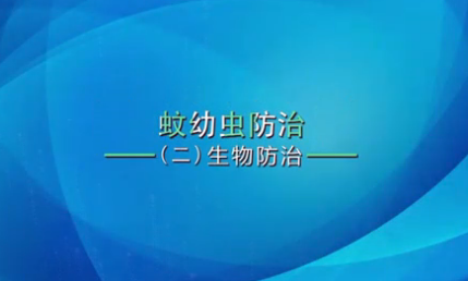 V视丨《灭蚊操作指南》蚊幼虫防治一一生物防治