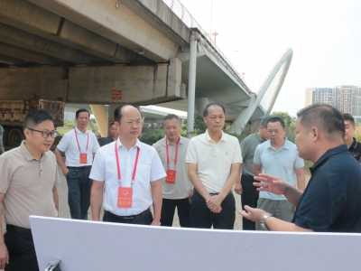 兴宁市人大常委会视察组专题视察城区品质提升工作