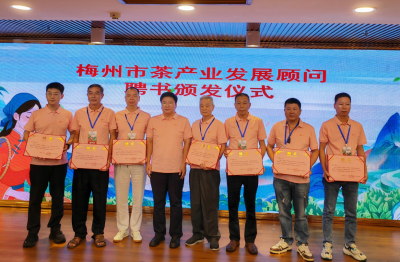 74名制茶高手同台比拼！2026年梅州市茶叶职业技能竞赛启动