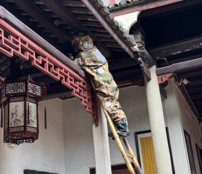 梅州东山书院，两处毒蜂巢，已摘除！可放心！