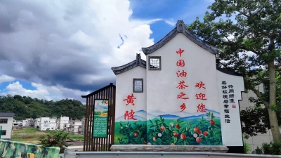 今日兴宁·文峰