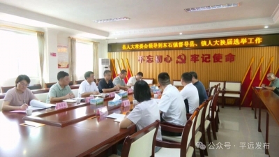 平远县人大常委会开展县镇人大换届选举工作专项督导