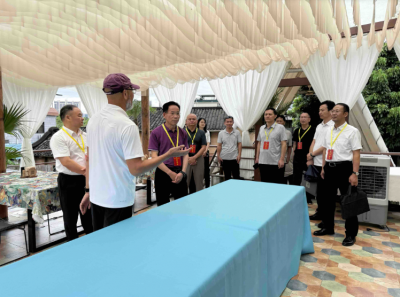 马志元率队开展重点提案督办调研：大力培育乡村民宿 促进农文旅融合发展