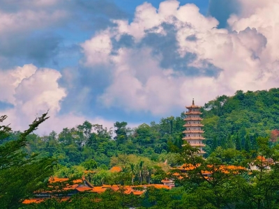 李 育 |（小说）旺伯的账本