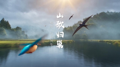 【山歌归巢】“飞羽瞬间”梅州鸟类生态摄影展暨AI视觉创意大赛优秀作品展
