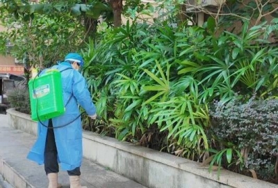 程江镇开展“四大专项”爱国卫生行动 源头清积水消除蚊虫孳生隐患