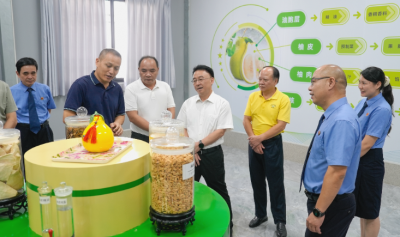 强化“梅县金柚”地理标志综合保护工作！梅县区人大常委会专题调研区检察院