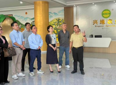 曾碧玉率队开展政协提案督办调研：以提案办理实效助推乡村振兴