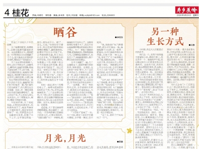 寿乡蕉岭·桂花