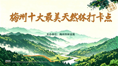 @所有人 投票开启！梅州19个最美天然林打卡点，哪个是你心中的TOP10？