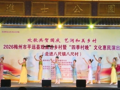 好戏送到家门口！这场精彩演出在平远县八尺镇开演
