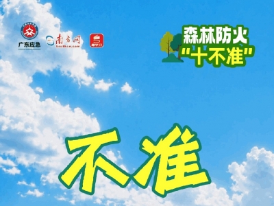 严防森林火灾，守护生态安全