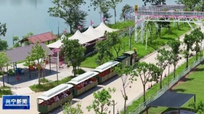 38个项目超8.7亿元投资！兴宁市叶塘镇全力争创省级小城市培育试点