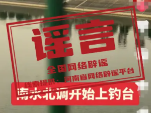 网传“洛阳博物馆闭馆是因挖出‘传国玉玺’”不实（2026·10·16）