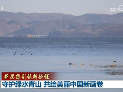 【新思想引领新征程】守护绿水青山 共绘美丽中国新画卷