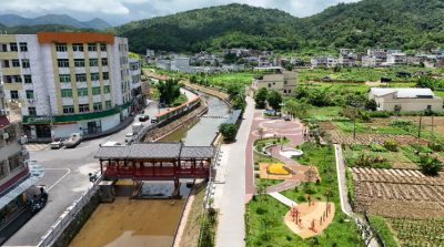 知乡情、立远志、报桑梓！兴宁市罗岗镇以教育之力赋能乡土育人、助力乡村振兴