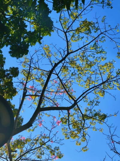 诗词一束