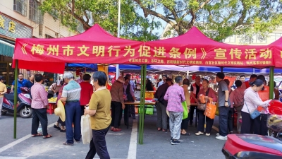 共学条例 文明同行！梅江区西阳镇开展“讲文明 树新风”系列宣传活动