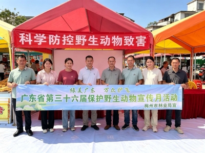 绿美广东 万众护飞——梅州市县林业局联合走进平远东石镇开展保护野生动物宣传月活动