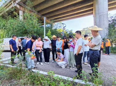 筑牢红火蚁防控防线！平远开展2026年秋季红火蚁防控技术现场培训