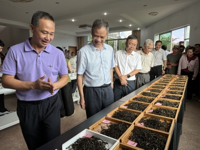 车间变课堂！大埔举办茶叶加工技能提升培训班
