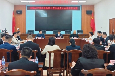 丰顺县党代表热议县委工作报告：畅谈新蓝图 奋进新征程