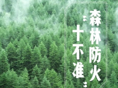 森林防火无小事 防火安全要牢记