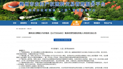 新突破、新模式！梅州市农村产权流转交易平台首宗集体经营性建设用地入市地块竞拍成交