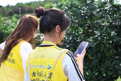 以脚步丈量柚乡 以技术对话土地！华师实践团为梅州金柚全链赋能