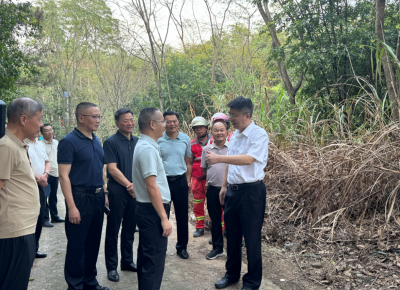 詹星到兴宁督导“百千万工程”典型镇建设工作并开展巡林