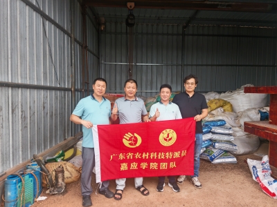 驻兴宁黄槐镇帮扶工作队联动科技特派员赋能当地油茶木薯产业