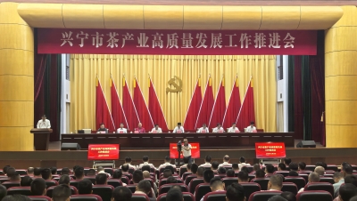 兴宁市召开茶产业高质量发展工作推进会