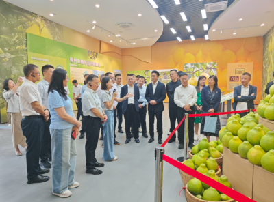 聚港澳商界之力赋能苏区融湾发展——全国工商联港澳执常委梅州行活动侧记