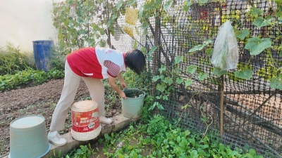 清除蚊虫孳生地！梅县区铁炉桥村筑牢“两热”防控屏障