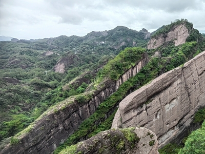 徐尖兵 | 又是一年割鲁萁时